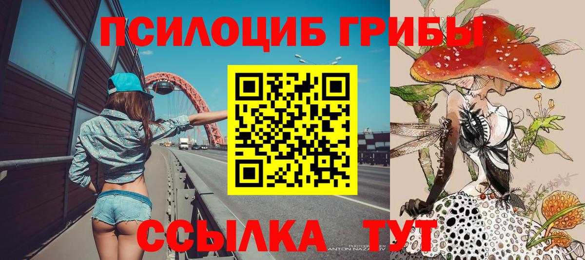 Галлюциногенные грибы GOLDEN TEACHER Балтийск