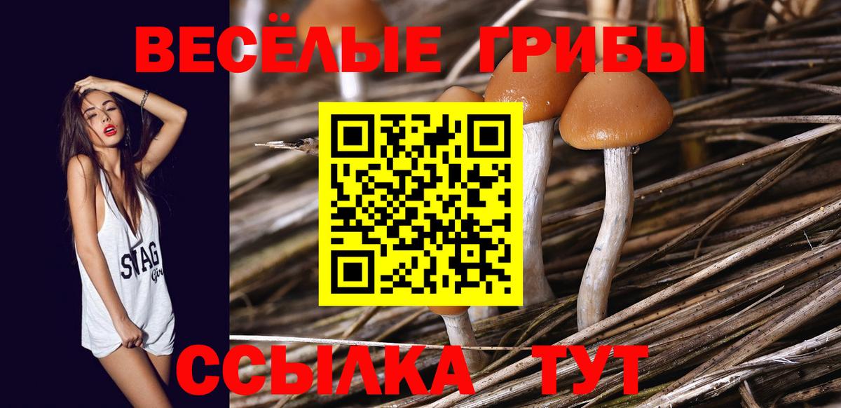 цены   Вход с VPN  Балтийск  Галлюциногенные грибы прущие грибы  Галлюциногенные грибы ЛСД 