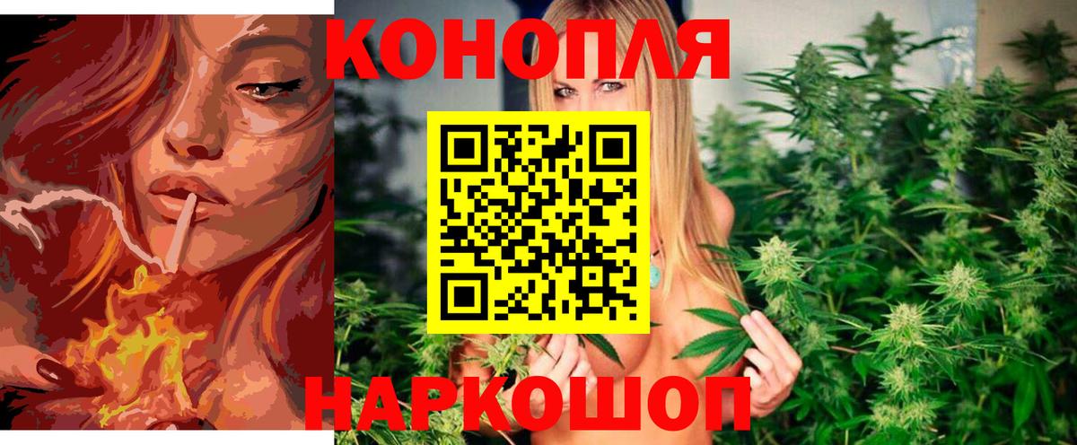 Шишки марихуана ГИДРОПОН Балтийск